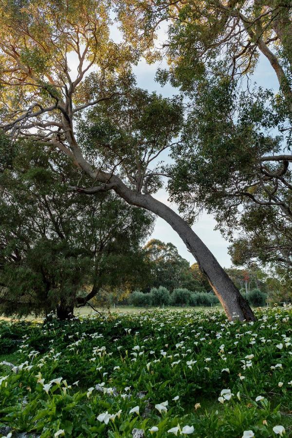 Empire Spa Retreat Dunsborough Bagian luar foto
