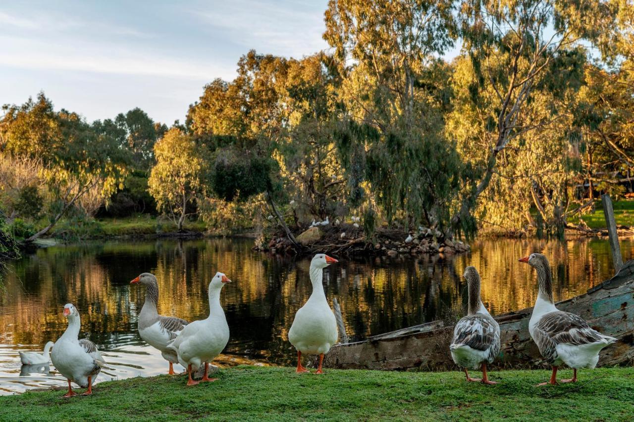 Empire Spa Retreat Dunsborough Bagian luar foto